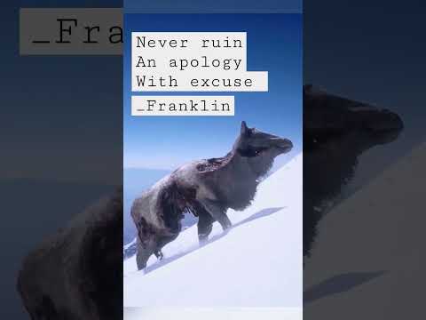 never ruin a  apology with  an excuse _ franklin