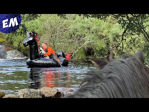 Black Stallions & a Ninja Unicorn on Dartmoor!