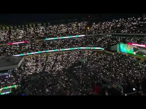 Fireflies Light Up The Stadium in Bray Wyatt Tribute at WrestleMania XL