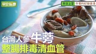 台灣人參：牛蒡整腸排毒清血管【早安健康】