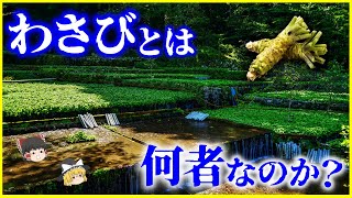 【ゆっくり解説】そのワサビ、本物!?「わさび」とは何者なのか？を解説/徳川家康が奨励した日本の本わさびと西洋わさびの違いとは