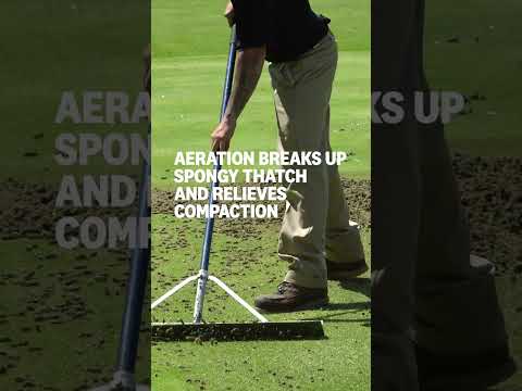 Why Do Courses Aerate Greens?