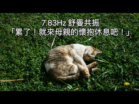 7.83Hz:『累了，就來母親的懷抱休息吧！』。肉體與地球頻率和諧地振動，並在身體內產生健康的能量流，並預防衰老和疾病。舒曼共振用來遞送腦波、幫助人類的大腦意識開發，讓意識揚升至更高境界。