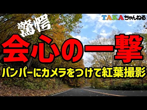 札幌市民のお山の紅葉❢ラストに特典映像・札幌の夜景❢【藻岩山観光自動車道】【札幌観光】【札幌ぶらり散歩】