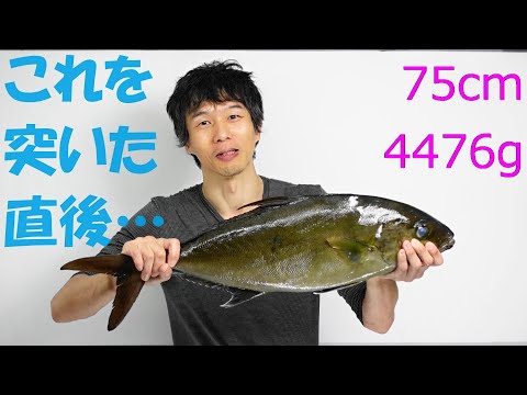 【息抜き＆自己満足】久々の魚突き。２か月ぶりだけど…。