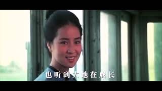 邓丽君演唱的电影《原乡人》插曲：《原乡人》