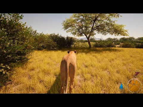 Primal Earth | Lioness chilling under the tree