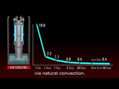 Prolonged Station Blackout