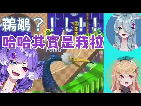 【彩虹社EN中文】鵜鶘？脖子這麼長一定是Selen啦【Pomu Rainpuff/Elira Pendora/Selen Tatsuki/NIJISANJI EN】