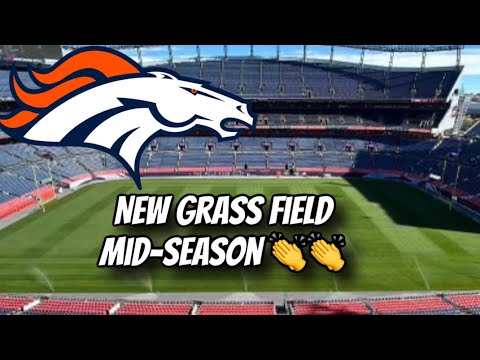 Only $250,000?! Every NFL team should do like the Broncos: new grass field midseason for safety