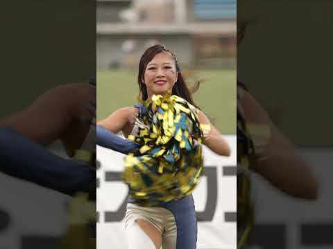 2024/09 All Mitsubishi Lions Cheerleaders #cheerleader