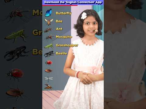 Learn Insect🦋 Names in English, English Speaking Words, Spoken English Connection #shorts