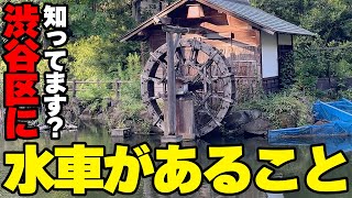 【神泉駅散歩】渋谷区とは思えない！？良い意味で「らしくない」大人の街、神泉駅周辺エリアを歩きました【Stroll around Shinsen】