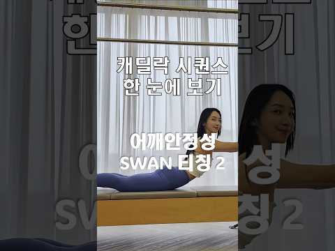 캐딜락시퀀스 | swan으로 가는 방법 | 어깨안정성 #shots #쇼츠 #필라테스시퀀스 #캐딜락시퀀스 #캐딜락필라테스 #필라테스지영쌤 #오운완 #swan