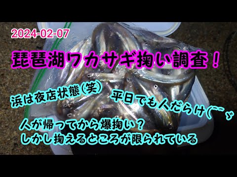 2024-02-06  琵琶湖ワカサギ掬い調査！