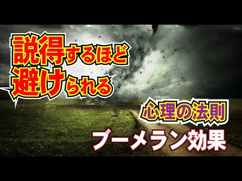 心理の法則-説得するほど逆効果:ブーメラン効果。相手に思いを伝えたいときほど説得は逆効果になる！？なぜ人は、説得や説教が嫌いなのか