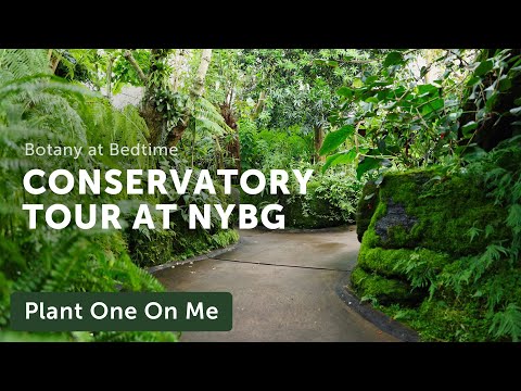 New York Botanical Garden CONSERVATORY Tour — Ep. 356