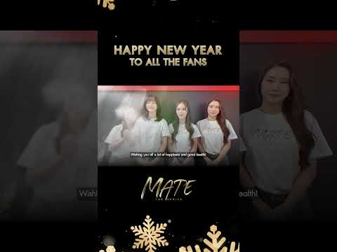 HAPPY NEW YEAR TO ALL FANS 🥰#MateTheSeries