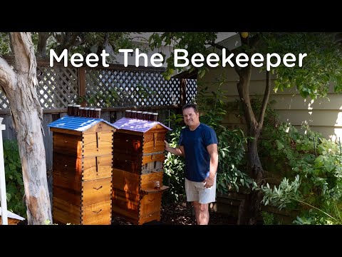 Beekeeping turned this backyard into a family’s zen zone