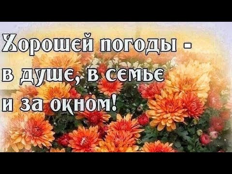 Счастливого Доброго Утра/Для Вас Кофе со вкусом дождя и счастья/Позитивное пожелание/