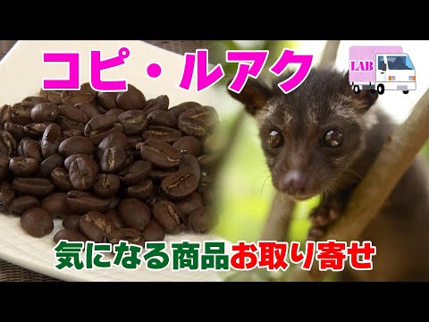 【気になる商品お取り寄せ！】コピ・ルアク