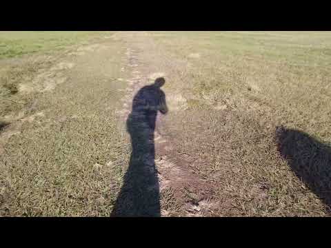 Tony Nguyen: DJI Pocket 2 and Onewheel fun.