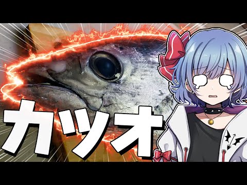 【お料理】カツオ丸々一匹！？レミリアはカツオのたたきを作りたい！！【ゆっくり実況】