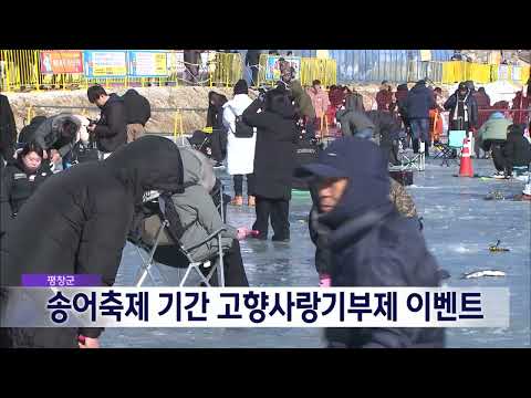 2025. 1. 12 [원주MBC] 평창군, 송어축제 기간 고향사랑기부제 이벤트