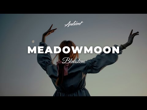 Blurstem - Meadowmoon [ambient chill electronic]