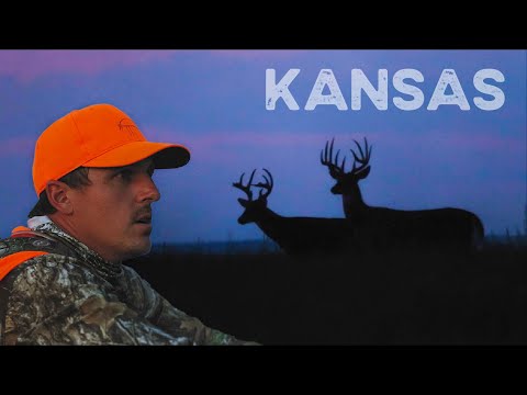 HUGE BUCKS at 10 YARDS!!! Hunting KANSAS From the Ground