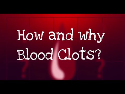 How and why blood clots? #bloodclotting #platelets #fibrinfibres