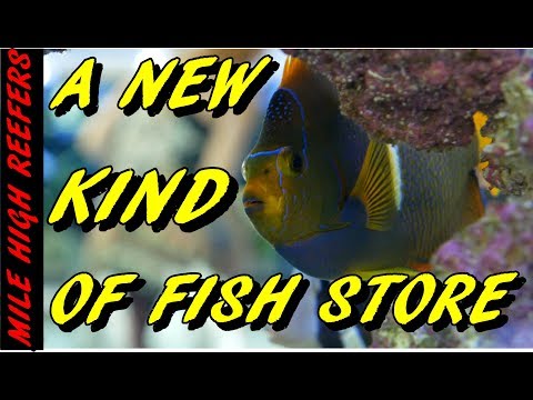 Poseidon's Grand Opening a New Kind of Fish Store