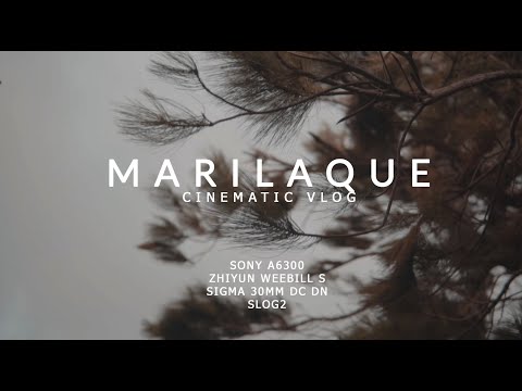 MARILAQUE SONY A6300 + ZHIYUN WEEBILL S | SIGMA 30mm DC DN | CINEMATIC VLOG