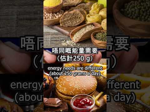 (廣東話) 你每天應該吃多少碳水化合物? How Much Carbohydrate Should I Eat Daily? #碳水化合物 #糖尿病 #carbohydrates #diabetes