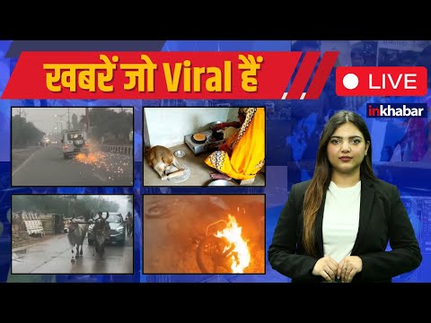 Inkhabar Viral,30 December: Viral Monkey | Bolero Accident | BPSC Students Protest | Viral Video