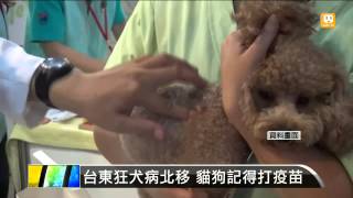 【2014.11.29】台東狂犬病北移 貓狗記得打疫苗 -udn tv