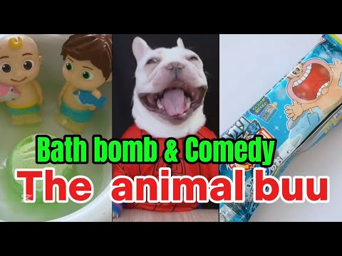 The Animal Buu Compilation | the most Fuuny collection279 #comedy #reaction #bathbomb