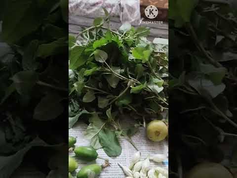 leafy vegetables and Anjeer flowers harvest from my terrace garden