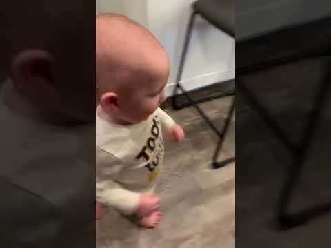 Excuse me Sir.... #telemarketerprank #dontspamme #babiesoftitktok #cutebabyboys #babyboy