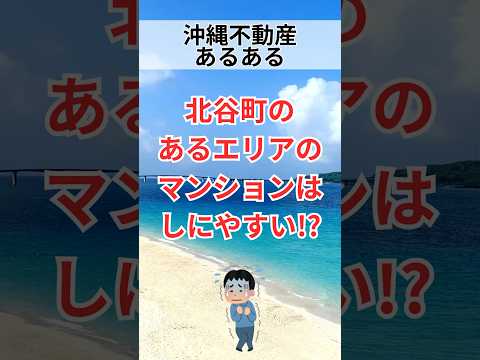 【沖縄不動産あるある】北谷エリアのマンションは...#shorts #breo#沖縄#マンション #不動産#沖縄移住#沖縄不動産#あるある#沖縄あるある#不動産あるある