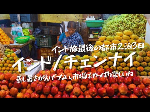 【vlog】インド10日間の旅④ チェンナイ編(最終) 湿度が日本！キャッチの少ない南インドは平和だな