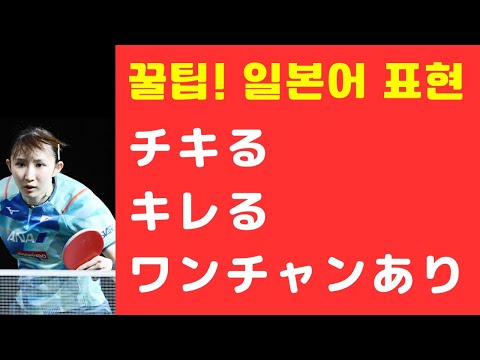 チキる・キレる・ワンチャンあり (꿀팁! 일본어 표현)