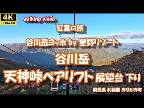 紅葉の旅 谷川岳 天神峠ペアリフト展望台下り 4K【お散歩シリーズ】 群馬県 利根郡 みなかみ町 谷川岳ヨッホ 星野リゾート 24年10月21日