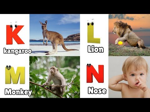 A for Apple Nursery Rhymes | Phonics for Kids | English Alphabet Letters