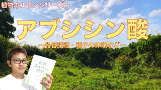 【植物ホルモン4】アブシシン酸について． 器官脱離，種子の成熟，休眠，水ストレスなど