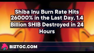 Shiba coin 1.4 Billion Destroyed in 24 Hours | EARN 1CRORE  MONTHLY WITHOUT JOB TIPS | LATEST NEWS