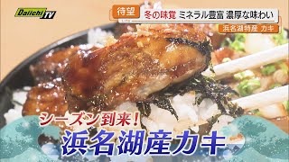 【旬】シーズン到来！ミネラルたっぷりで濃厚な浜名湖特産の冬の味覚「カキ」の魅力にフォーカス（静岡）