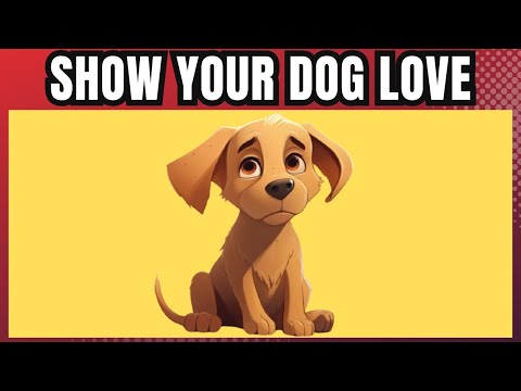 10 Ways To Tell Your Dog You Love Them (So They Understand)