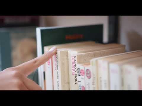 Selecting a Book | Copyright Free Video Footage