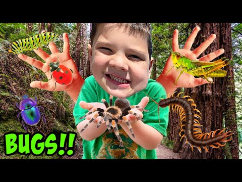 Caleb and MOMMY GO on BUG HUNT and Make S'mores while Camping in the WOODS with DAD-Family PLAY FUN!